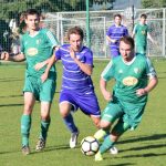 Hradiště na jaře poprvé ztratilo, s Mladou Vožicí se o body podělilo
