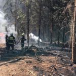 Extrém! Hasiči likvidovali v neděli na jihu Čech hned devět lesních požárů