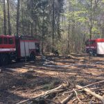 Extrém! Hasiči likvidovali v neděli na jihu Čech hned devět lesních požárů