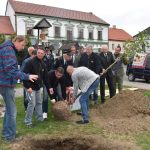 V Jistebnici zasadili po sto letech novou lípu