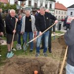 V Jistebnici zasadili po sto letech novou lípu