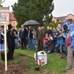 V Jistebnici zasadili po sto letech novou lípu