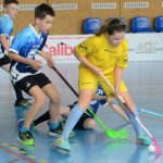 Milevští elévové zakončili Jihočeskou ligu turnajovým triumfem