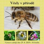 Výstava plná včel na květu se představí na budějovické radnici