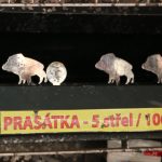 Čarodějnice a Rybníkáři rozpohybovali prachatické Velké náměstí
