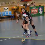 Remíza s Pískem A stačila strakonickým starším žákyním k titulu krajských přebornic v házené
