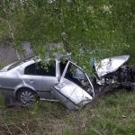Další oběť silnic. Hasiči hlásí smrt po nárazu do stromu a uzavřenou silnici