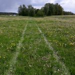 Jednašedesátiletý muž si jel téměř půl kilometru po louce pro smrt