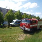Studenti gymnázia vybrali okolo třiceti tisíc na Dni proti rakovině
