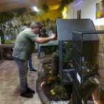 Botanickou zahradu v Táboře rozzáří ZOO PARK pestrobarevných papoušků