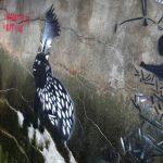 Graffi-Bajky otevřely novou strakonickou galerii na zdi pod čajovnou