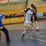 Házenkáři Strakonic se s hofenskými přáteli rozešli smírně