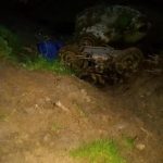 Více o tragédii na historické motorce u Leopoldova