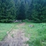 Více o tragédii na historické motorce u Leopoldova