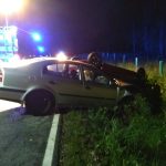 Více k noční tragické nehodě u Dolního Bolíkova. Řídila 19 letá dívka, spolujezdec zemřel