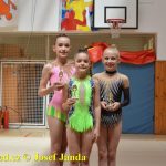 Tábor přivítal mezinárodní závod. Zvítězily i domácí gymnastky