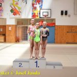 Tábor přivítal mezinárodní závod. Zvítězily i domácí gymnastky