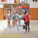 Tábor přivítal mezinárodní závod. Zvítězily i domácí gymnastky
