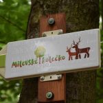 Milevské kolečko si rodiče s dětmi nenechali ujít