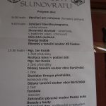 Slavnosti slunovratu v Česticích na zámku