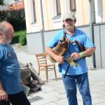 Nacisté ji věznili, komunistický režim ji oběsil. V Písku vzpomněli na Miladu Horákovou