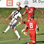 Dynamo na závěr soustředění remizovalo s rakouským Amstettenem