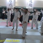 Soběslav přivítala vzácnou návštěvu. Michele Quaranta zdokonaloval aikidisty
