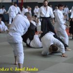 Soběslav přivítala vzácnou návštěvu. Michele Quaranta zdokonaloval aikidisty