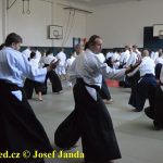 Soběslav přivítala vzácnou návštěvu. Michele Quaranta zdokonaloval aikidisty