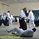 Soběslav přivítala vzácnou návštěvu. Michele Quaranta zdokonaloval aikidisty