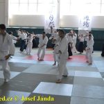 Soběslav přivítala vzácnou návštěvu. Michele Quaranta zdokonaloval aikidisty