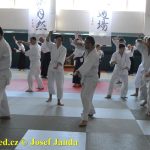 Soběslav přivítala vzácnou návštěvu. Michele Quaranta zdokonaloval aikidisty