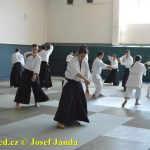 Soběslav přivítala vzácnou návštěvu. Michele Quaranta zdokonaloval aikidisty