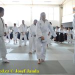 Soběslav přivítala vzácnou návštěvu. Michele Quaranta zdokonaloval aikidisty