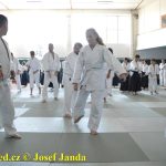 Soběslav přivítala vzácnou návštěvu. Michele Quaranta zdokonaloval aikidisty