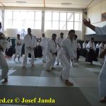 Soběslav přivítala vzácnou návštěvu. Michele Quaranta zdokonaloval aikidisty