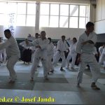 Soběslav přivítala vzácnou návštěvu. Michele Quaranta zdokonaloval aikidisty