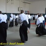 Soběslav přivítala vzácnou návštěvu. Michele Quaranta zdokonaloval aikidisty