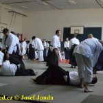 Soběslav přivítala vzácnou návštěvu. Michele Quaranta zdokonaloval aikidisty