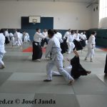 Soběslav přivítala vzácnou návštěvu. Michele Quaranta zdokonaloval aikidisty