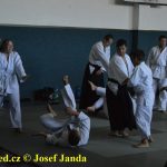 Soběslav přivítala vzácnou návštěvu. Michele Quaranta zdokonaloval aikidisty