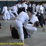 Soběslav přivítala vzácnou návštěvu. Michele Quaranta zdokonaloval aikidisty