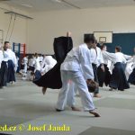 Soběslav přivítala vzácnou návštěvu. Michele Quaranta zdokonaloval aikidisty