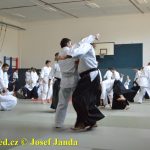 Soběslav přivítala vzácnou návštěvu. Michele Quaranta zdokonaloval aikidisty