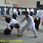 Soběslav přivítala vzácnou návštěvu. Michele Quaranta zdokonaloval aikidisty