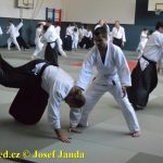 Soběslav přivítala vzácnou návštěvu. Michele Quaranta zdokonaloval aikidisty