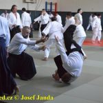 Soběslav přivítala vzácnou návštěvu. Michele Quaranta zdokonaloval aikidisty