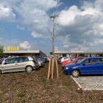 Strakonická inspirace: Zachycená dešťová voda zalévá kořeny stromů