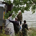 Na rybníku Tovaryš u Sepekova došlo k velkému úhynu ryb