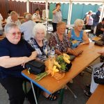 V Bechyni slavili výročí založení sboru dobrovolných hasičů a otevření hasičského muzea